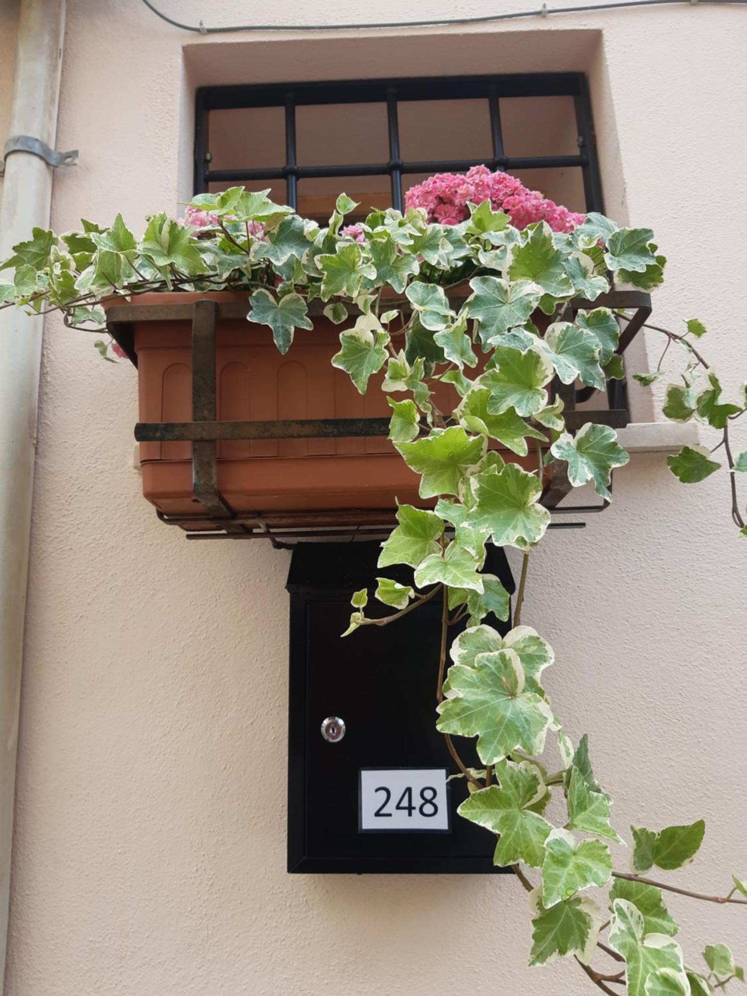 Casina A Porta Sant'Angelo Apartment Perugia Ngoại thất bức ảnh
